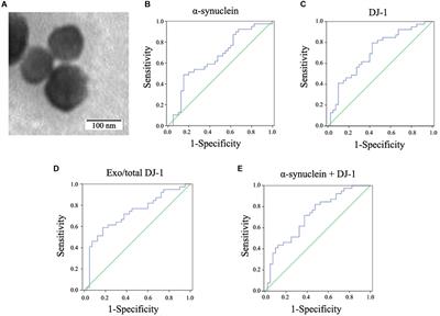 Increased DJ-1 and α-Synuclein in Plasma Neural-Derived Exosomes as Potential Markers for Parkinson’s Disease